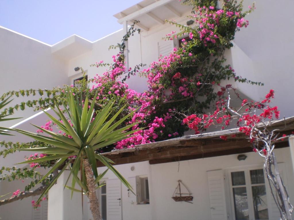 Paros Rita Studios Piso Livadi Dış mekan fotoğraf