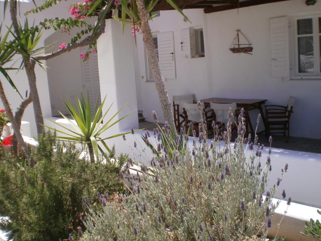 Paros Rita Studios Piso Livadi Dış mekan fotoğraf